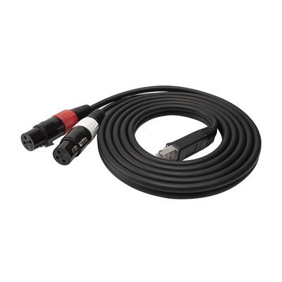 РЈ45 мушки до 2 КСЛР аудио женски микрофонски кабл